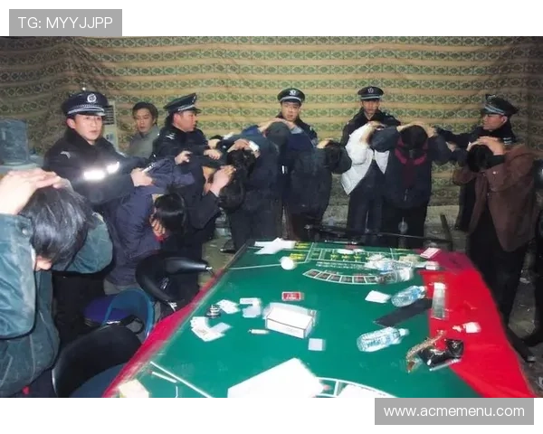 三亚百家乐赌博常见陷阱及应对方案保障玩家合法权益